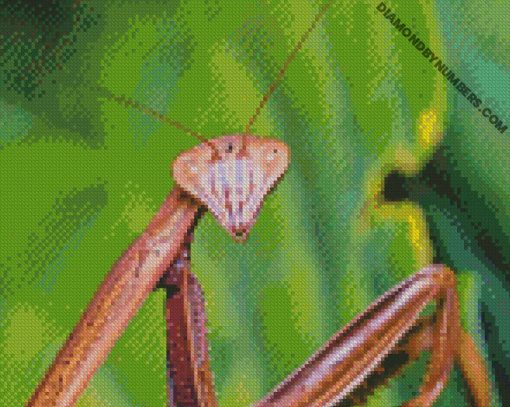 diamond painting