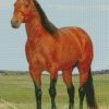 diamond painting