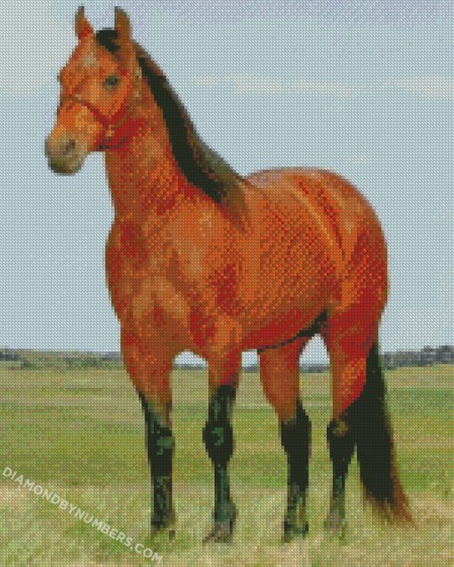 diamond painting