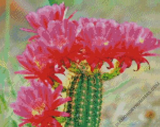 diamond painting
