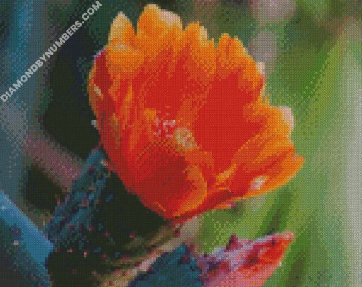 diamond painting