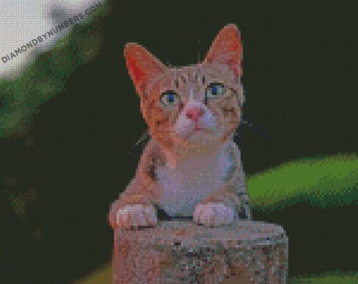 diamond painting