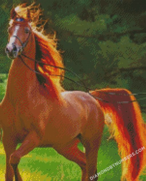 diamond paintings