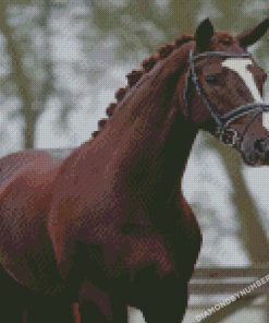 diamond painting