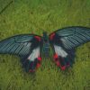 diamond paintings
