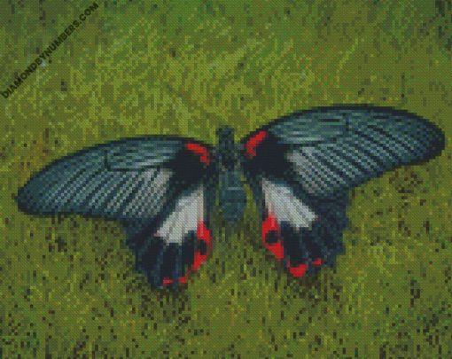 diamond paintings