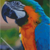 diamond painting