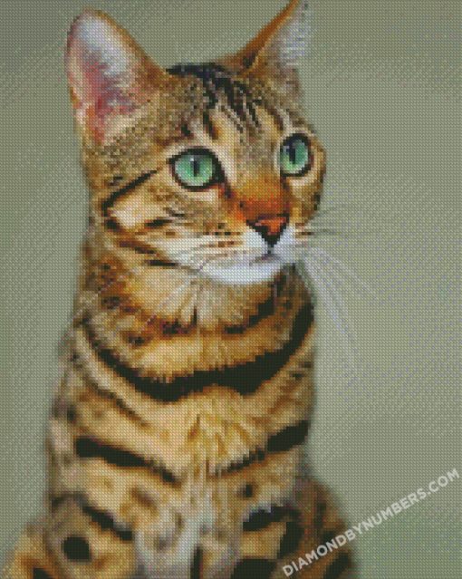 diamond painting