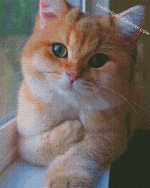 diamond painting