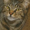 diamond painting