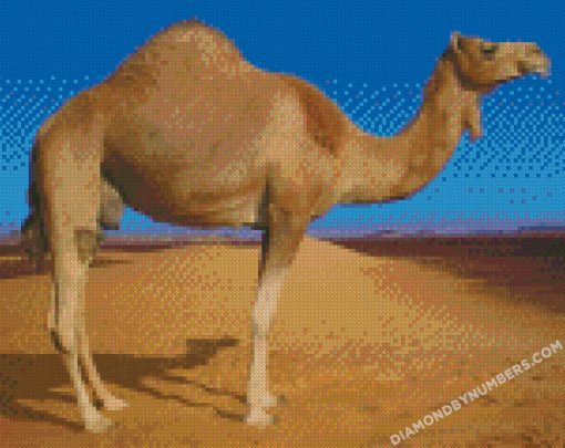 diamond painting