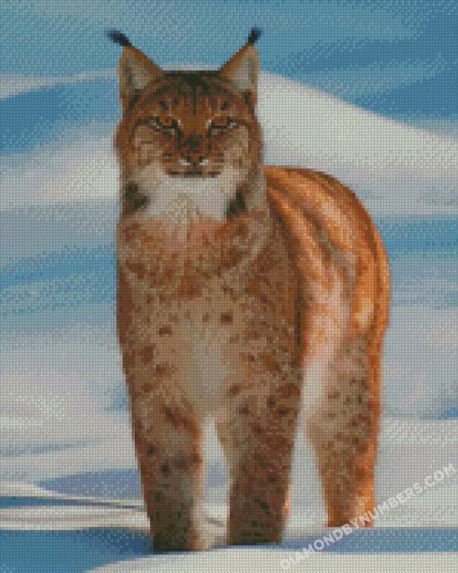 diamond painting