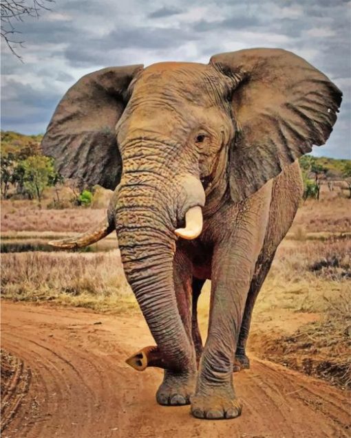 Elephant In Jungle paint by numbers