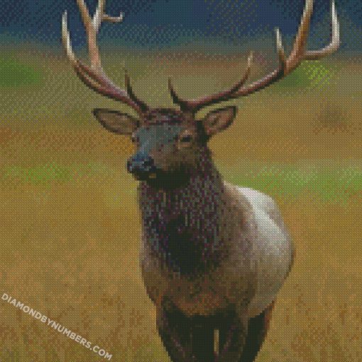diamond painting
