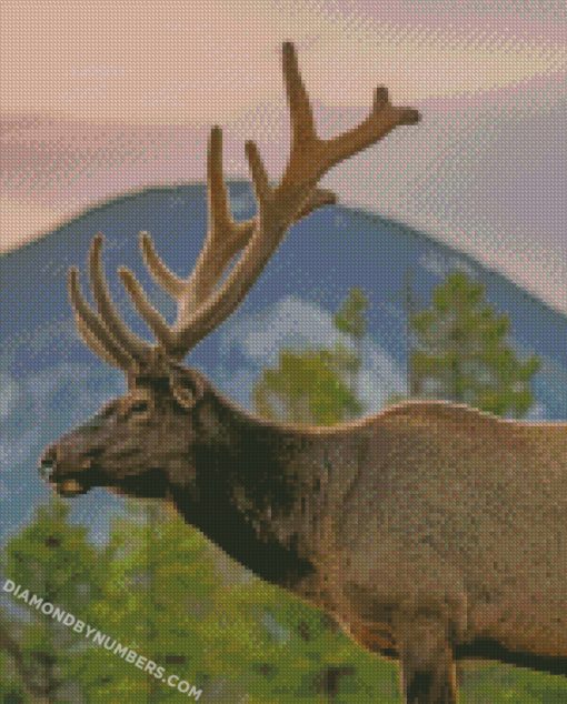 diamond painting