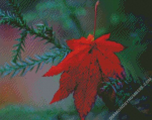 diamond painting