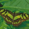 diamond painting