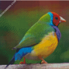 diamond paintings