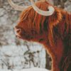 highland cow in the snow diamhighland cow in the snow diamond paintingond painting
