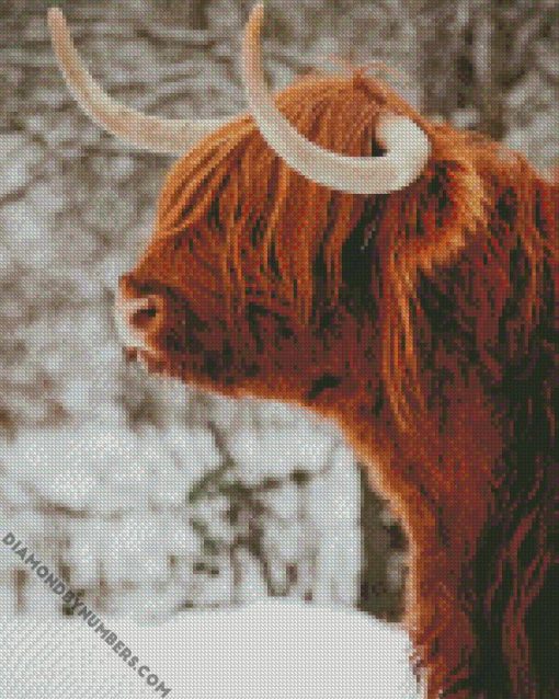 highland cow in the snow diamhighland cow in the snow diamond paintingond painting