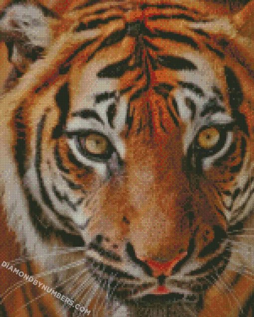 diamond painting
