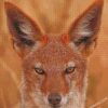diamond painting