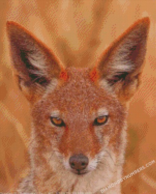 diamond painting
