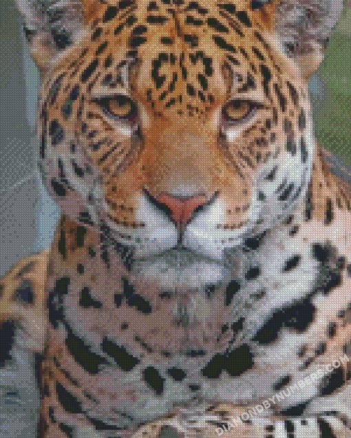 diamond painting
