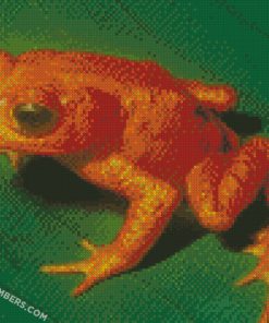 diamond painting