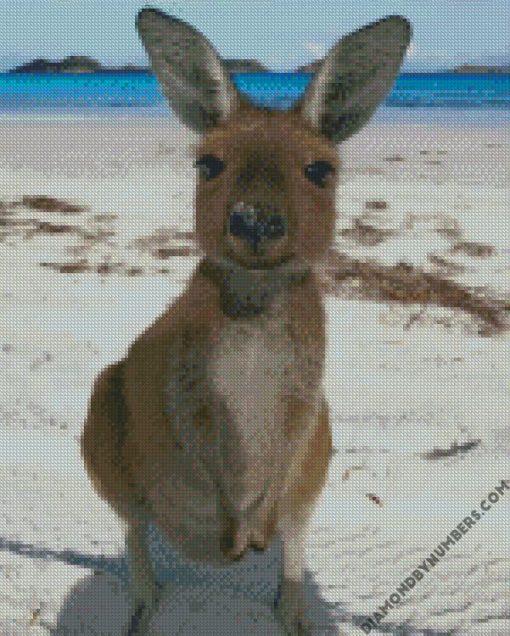 jungle kangaroo diamond paintings
