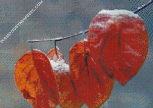 diamond painting