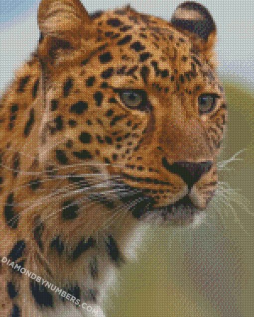 diamond painting