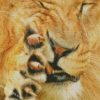 diamond painting