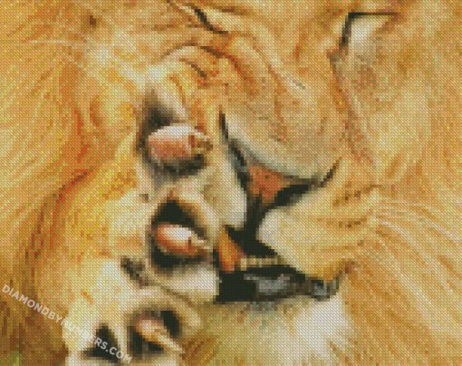 diamond painting
