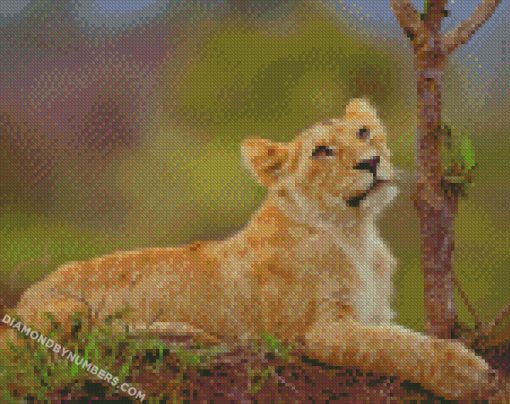 diamond painting
