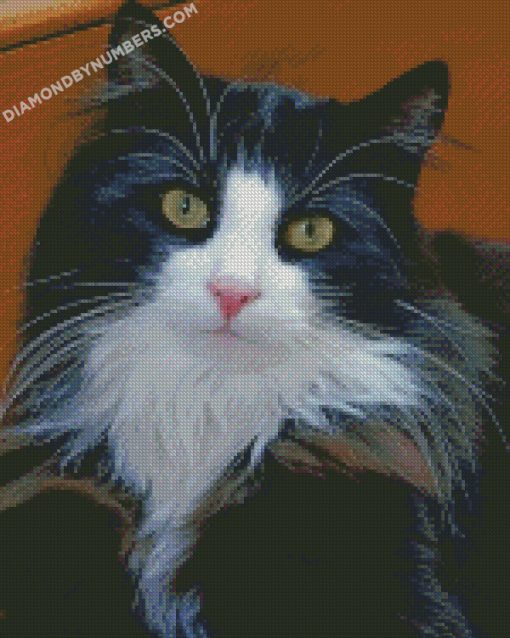 diamond painting