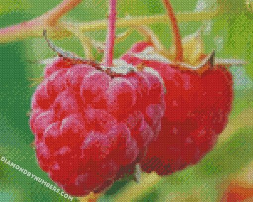 diamond painting