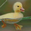 diamond paintings