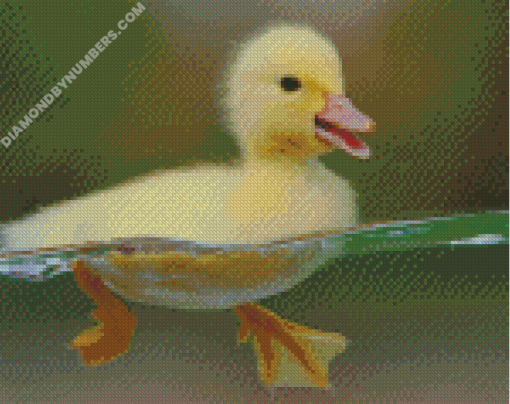 diamond paintings