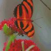 diamond painting