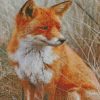 diamond painting