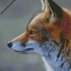 diamond paintings