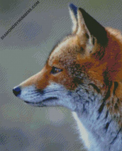 diamond paintings