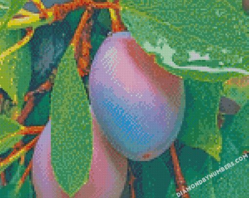 diamond painting