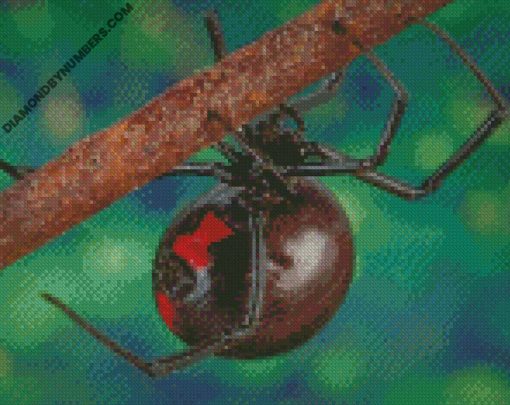 diamond paintings