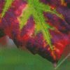 diamond painting