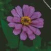 purple blossom in garden diamond paintings
