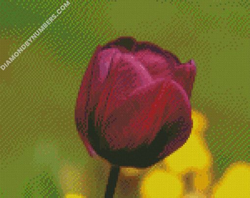 diamond painting