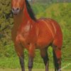 diamond painting