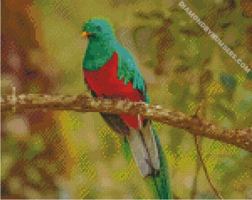 diamond paintings